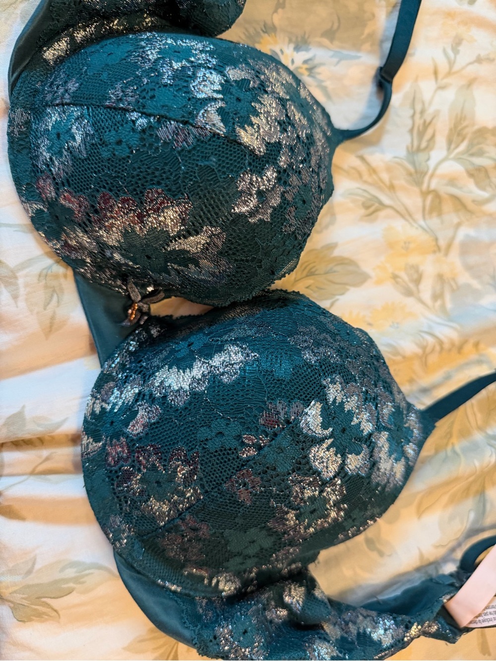 Women’s Lace Push-Up Bra in Teal with Metallic Accents vs